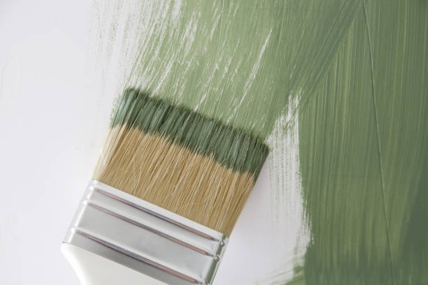 Best Mold Damage Restoration  in Roscoe, TX